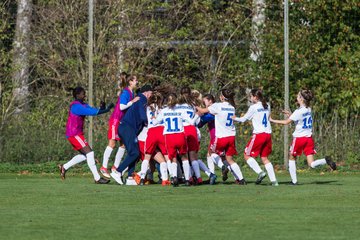 Bild 78 - B-Juniorinnen Hamburger SV - FC Neubrandenburg 04 : Ergebnis: 3:1